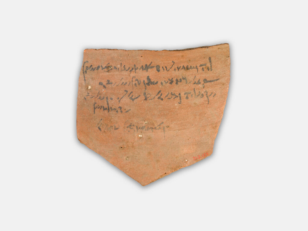 Ptolemaeïsche kwitantie voor de belasting op wijngaarden